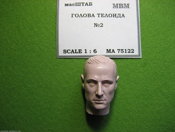 75122 Голова телоида №2
