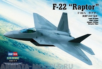 80210 Самолет F-22A Raptor
