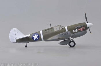 39311EM Самолет P-40M, 44FS,18FG