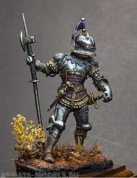 75-013TIN Heroic Armour of the 15th-Century